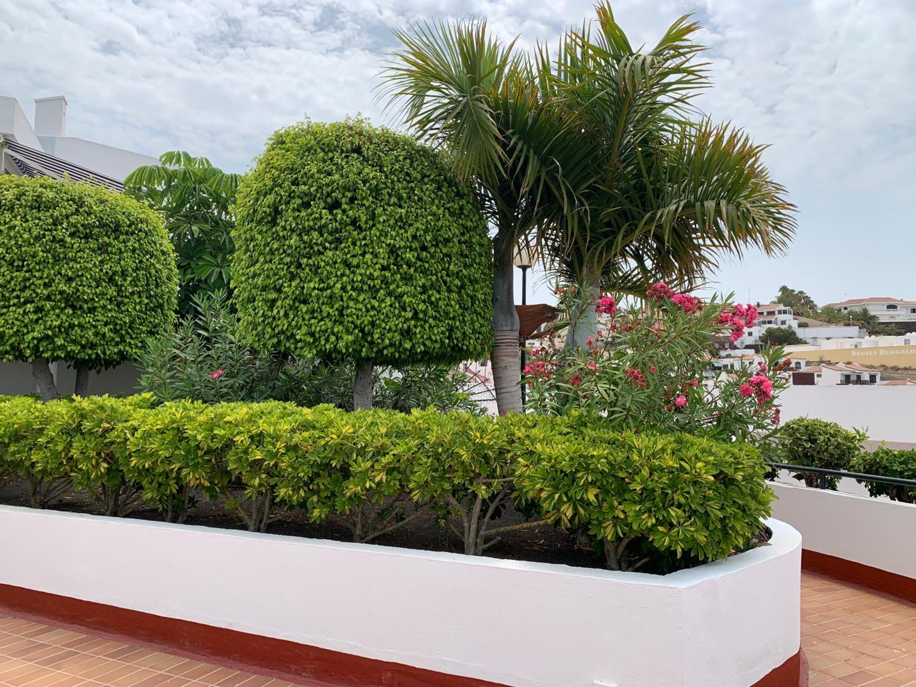 Ocean Breeze and Seaview Resort