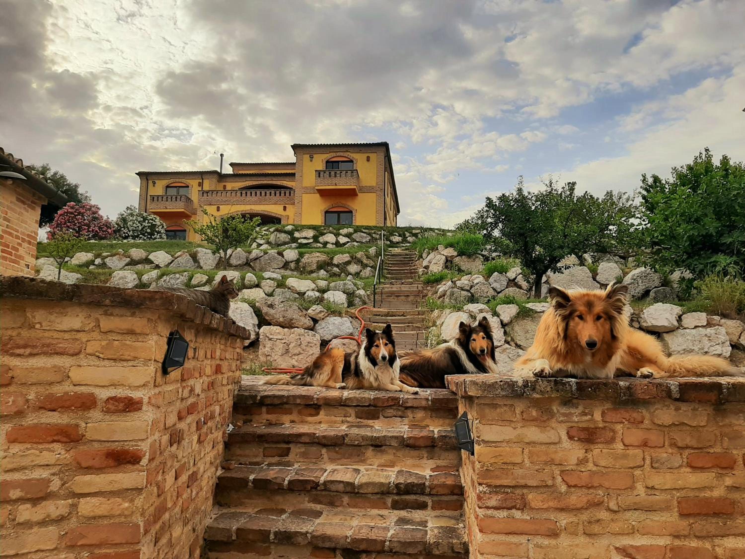 Il Casale dell'Acquabona