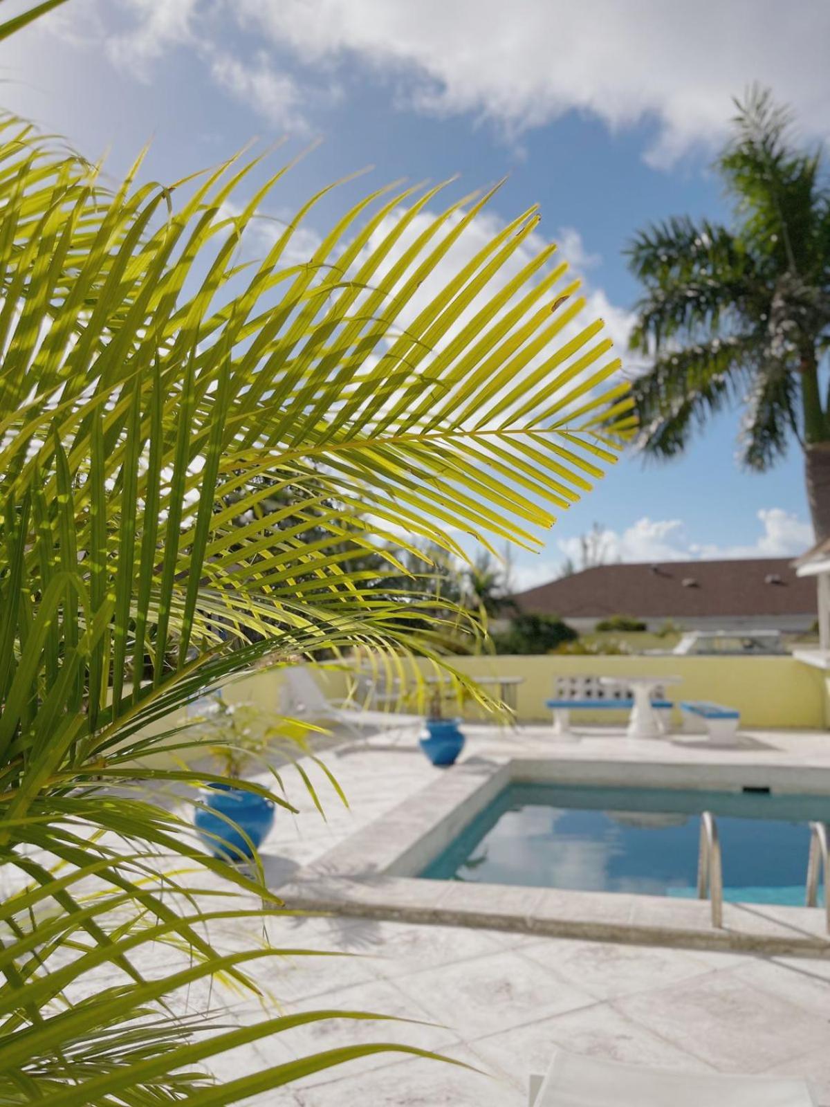 Golden Palms House