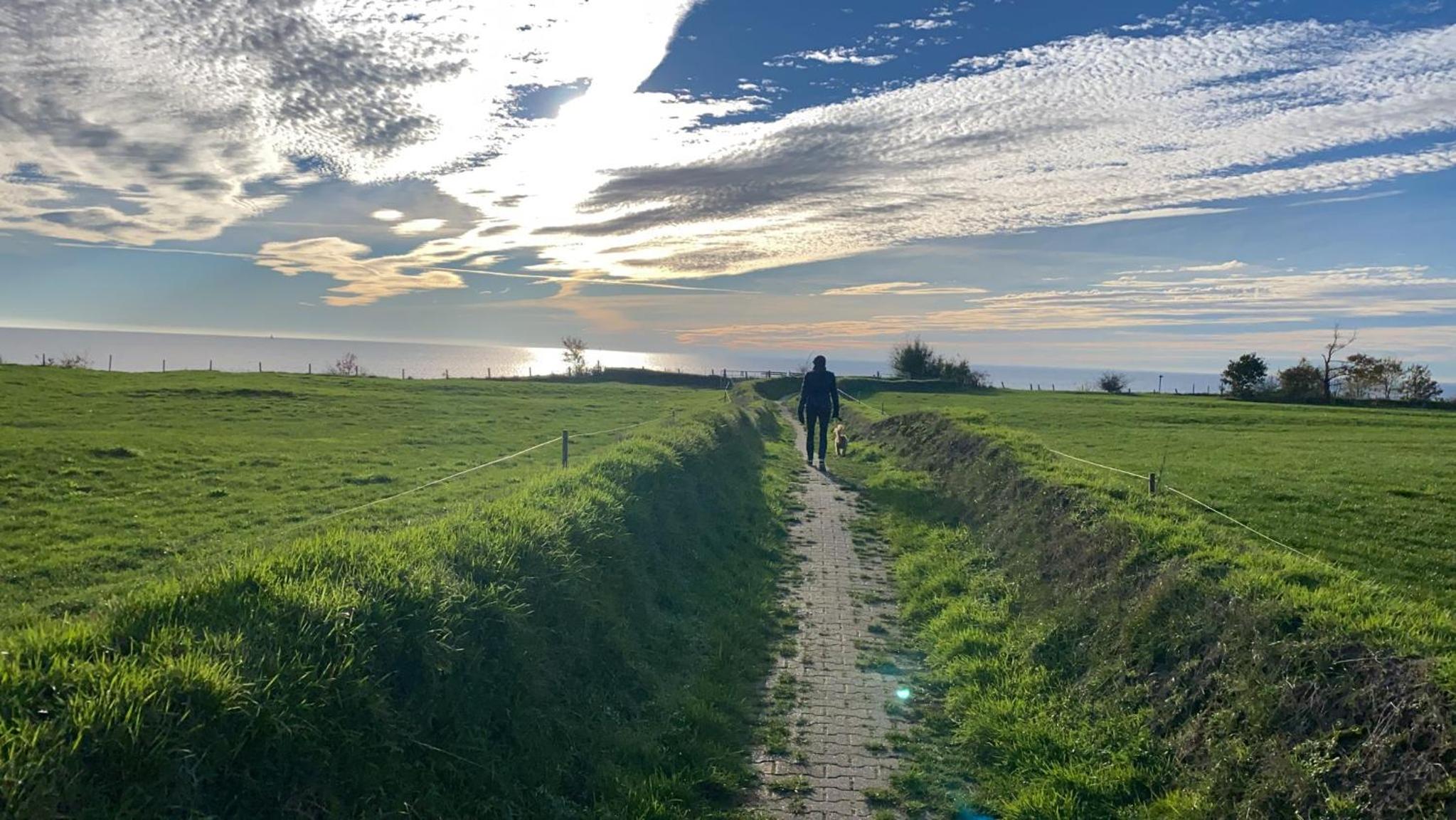 Welkom in mijn Studio bij het Snekermeer ! view 3