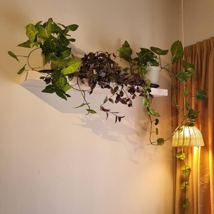 Photo 43