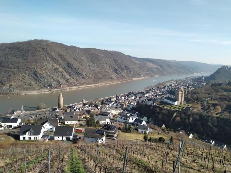 100 Stufen über dem Rhein