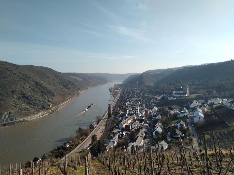100 Stufen über dem Rhein