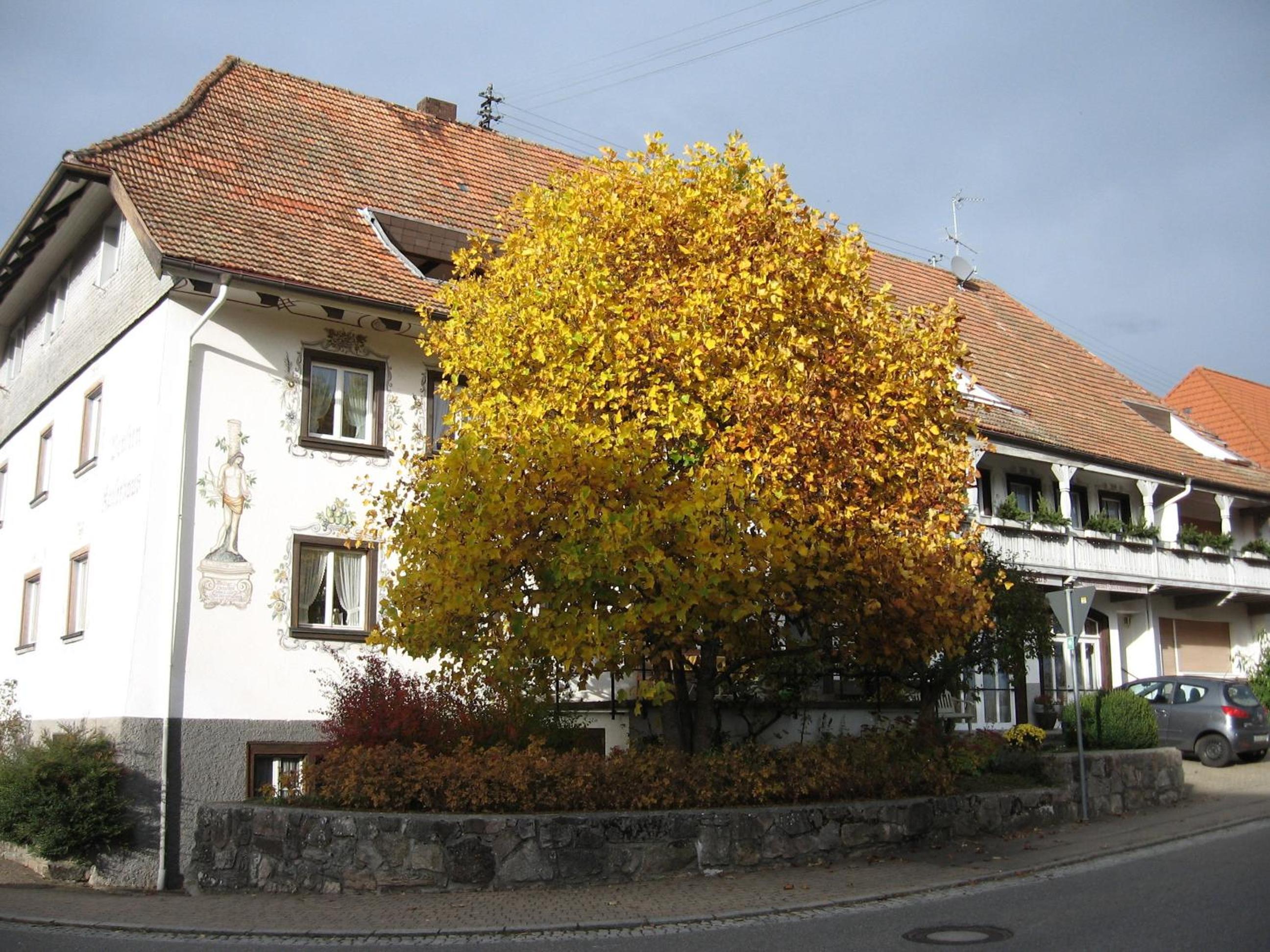 Photo 22