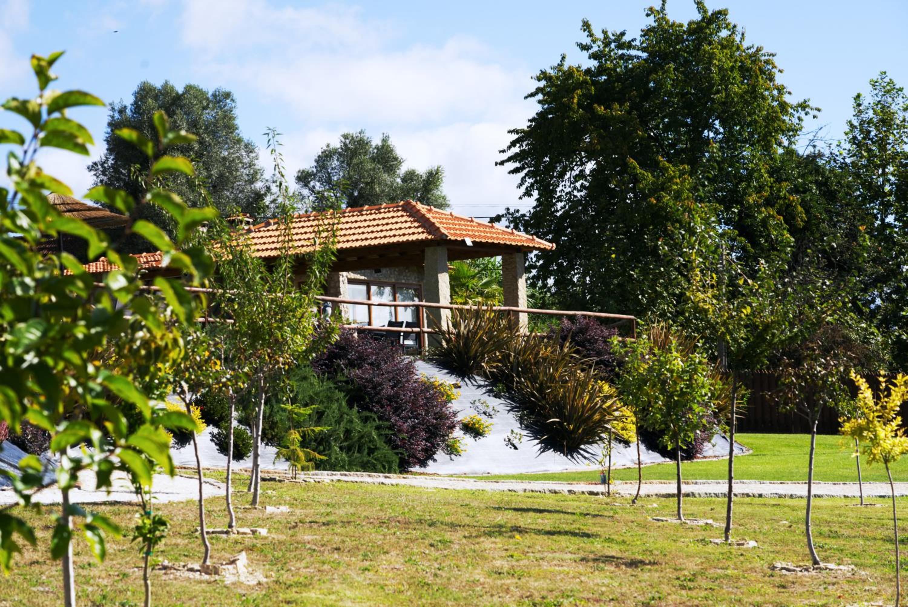 Photo 46
