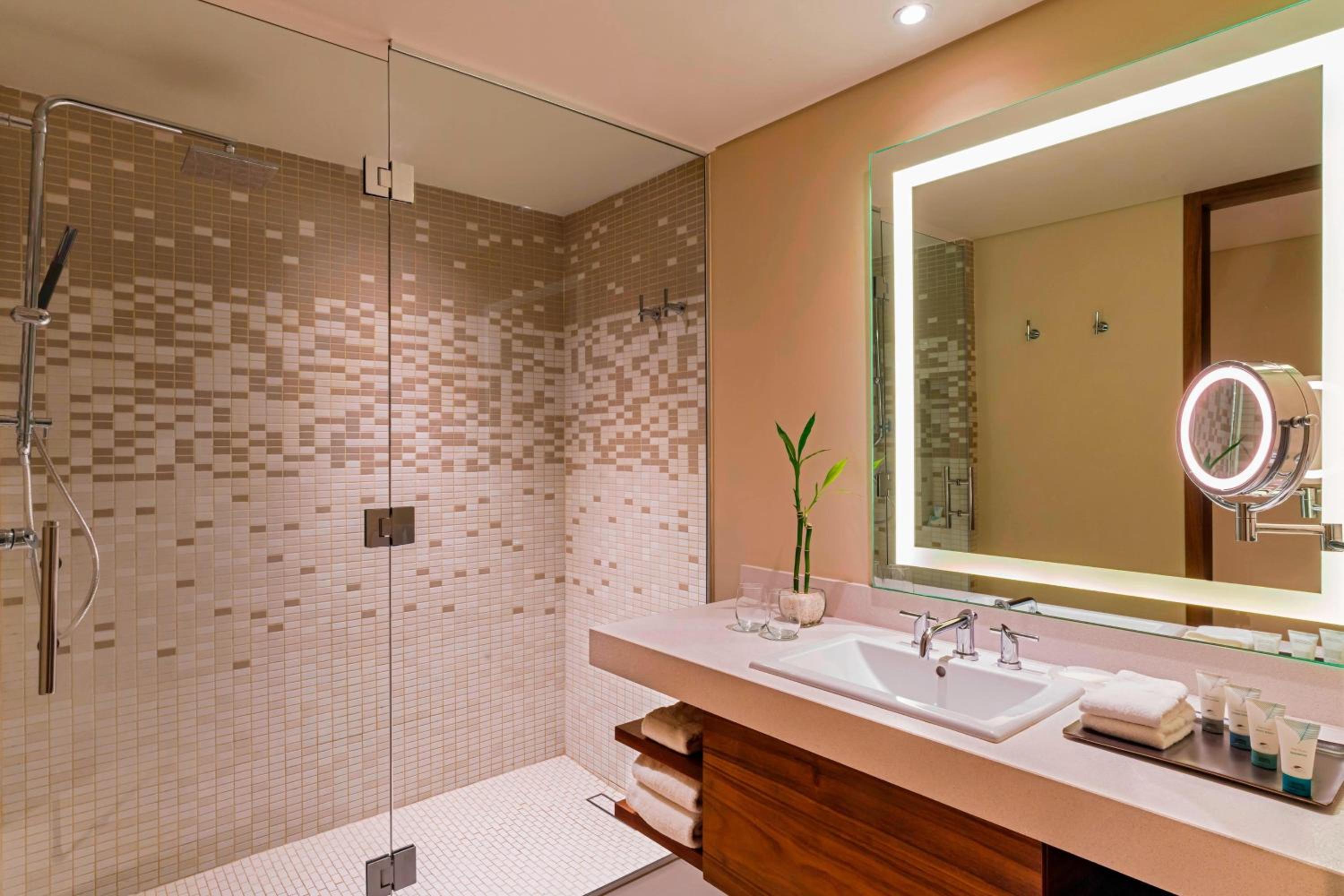 The Westin Cozumel - Property Image 49