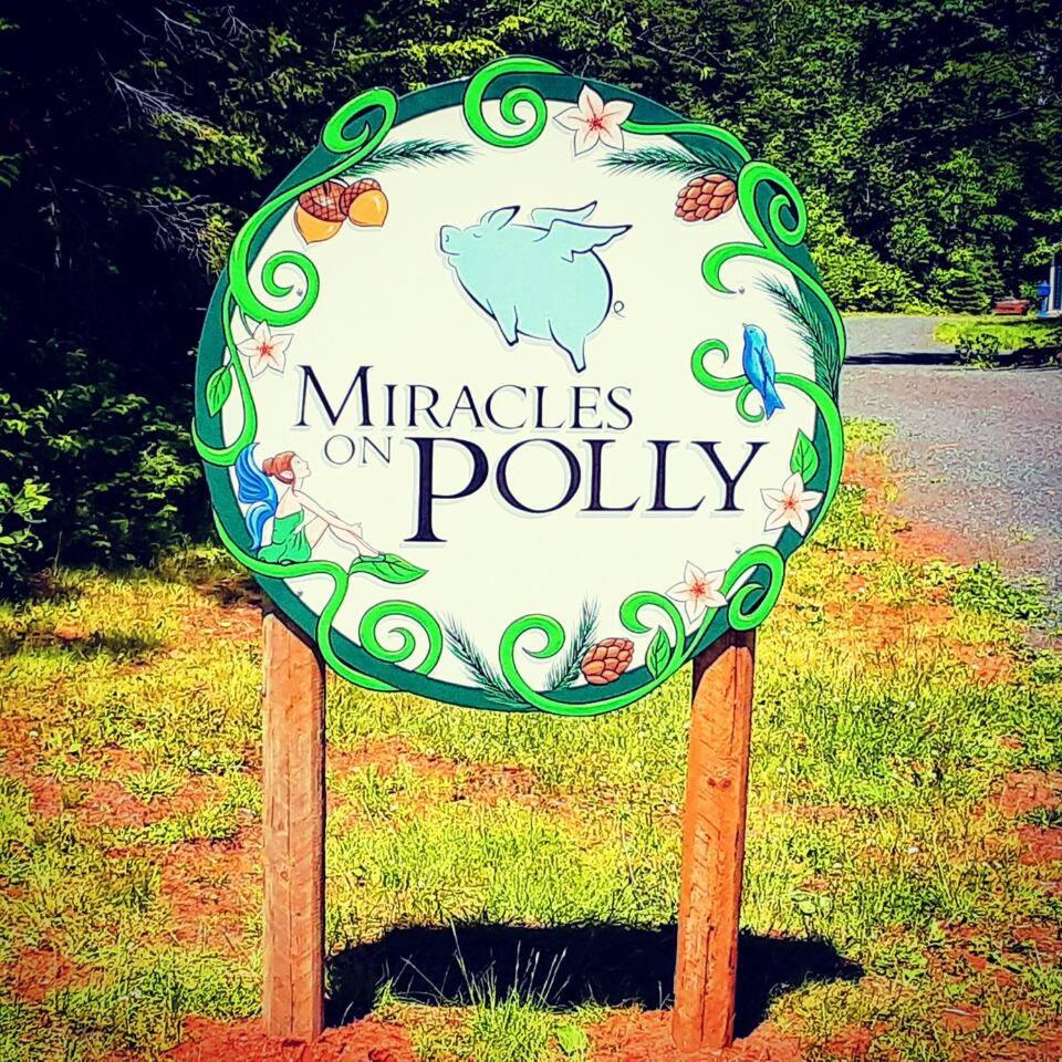 Miracles on Polly