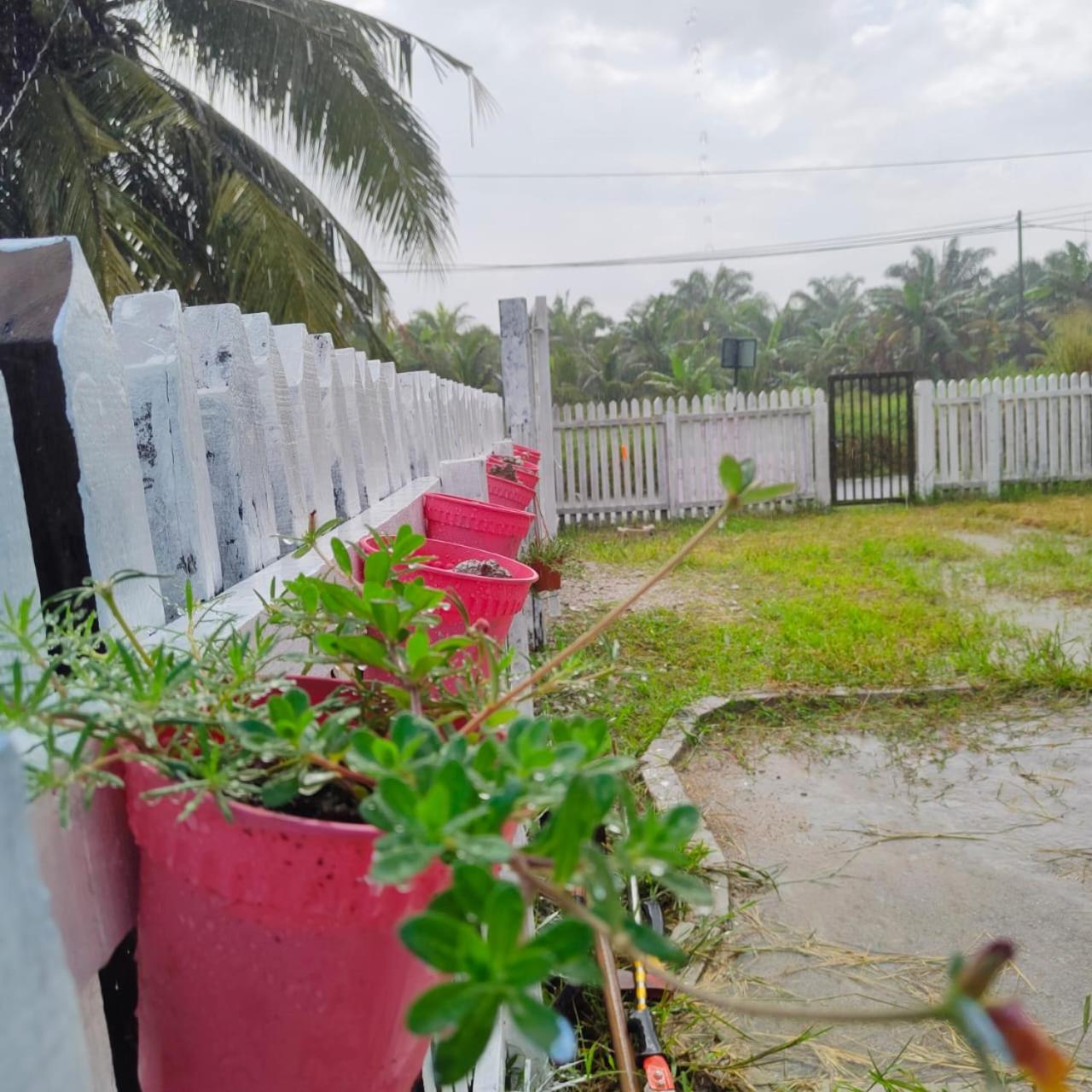 Kampung Cottage Bagan Datuk photo 5