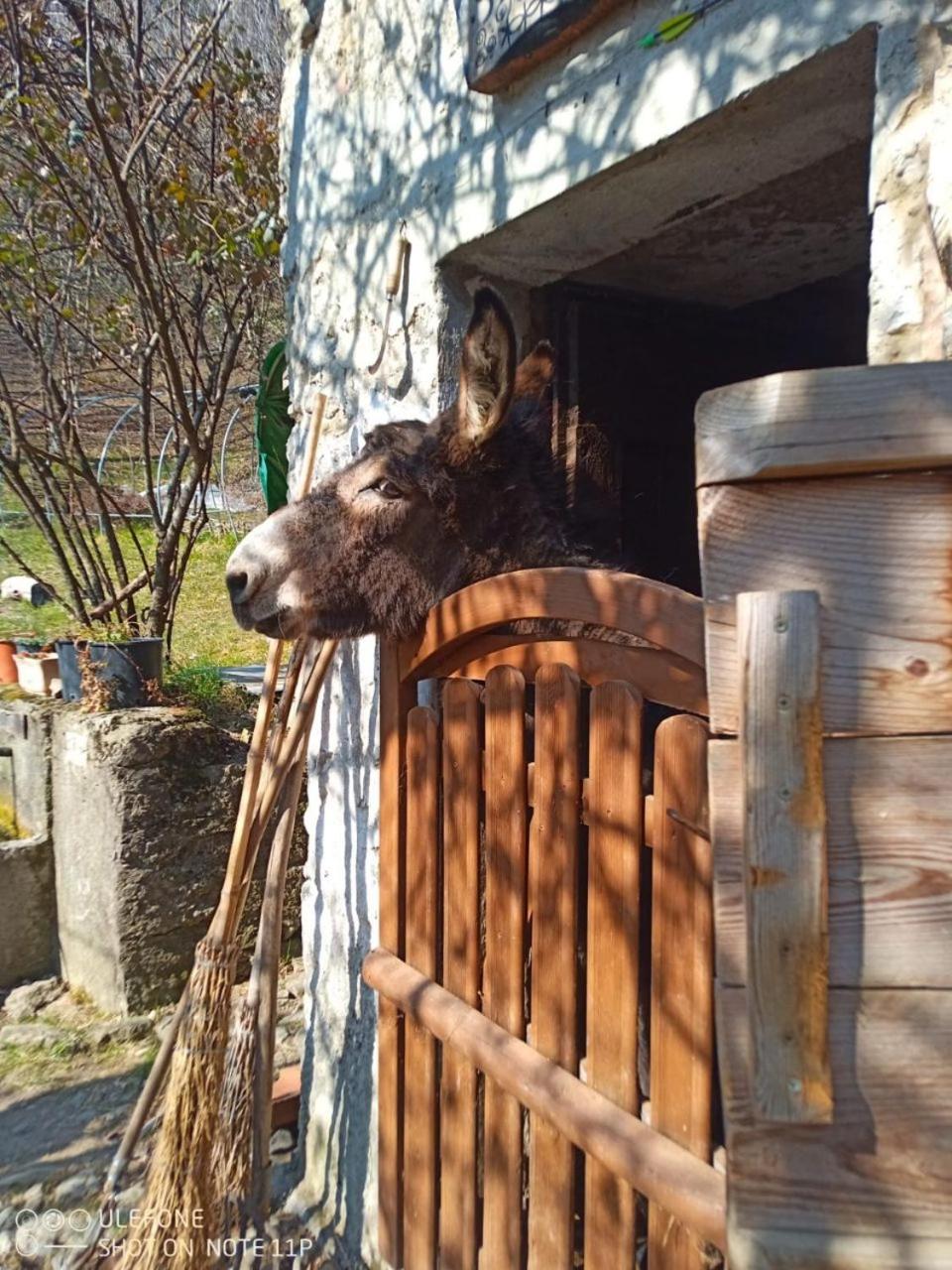 Agriturismo Cascina Gervasoni