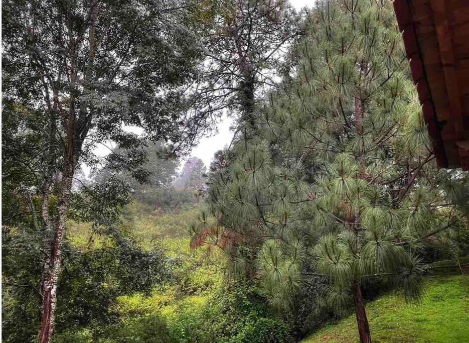 Cabaña en bosque de Mazamitla,Jalisco