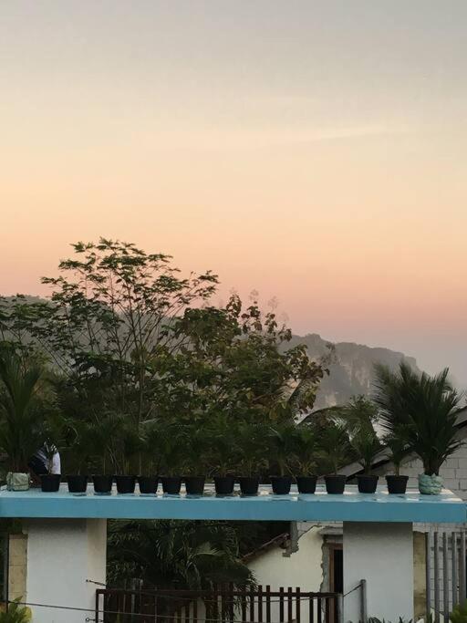 Villa Alcheringa Yogyakarta