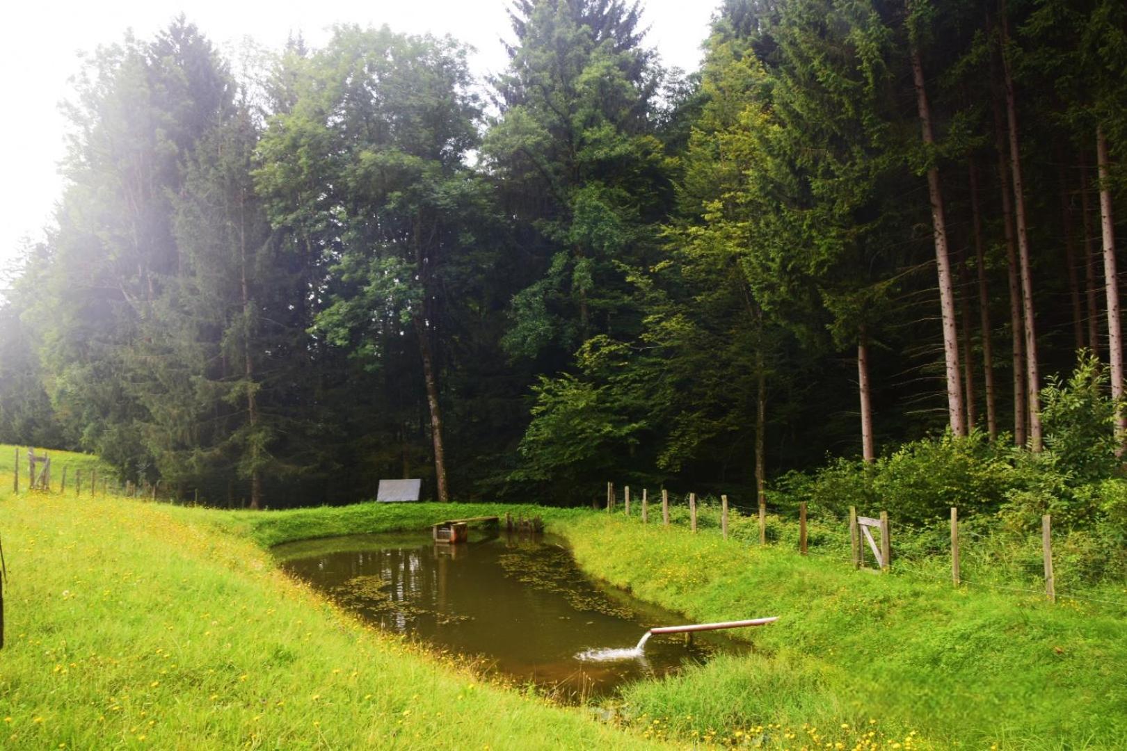 Ferienhaus Masser