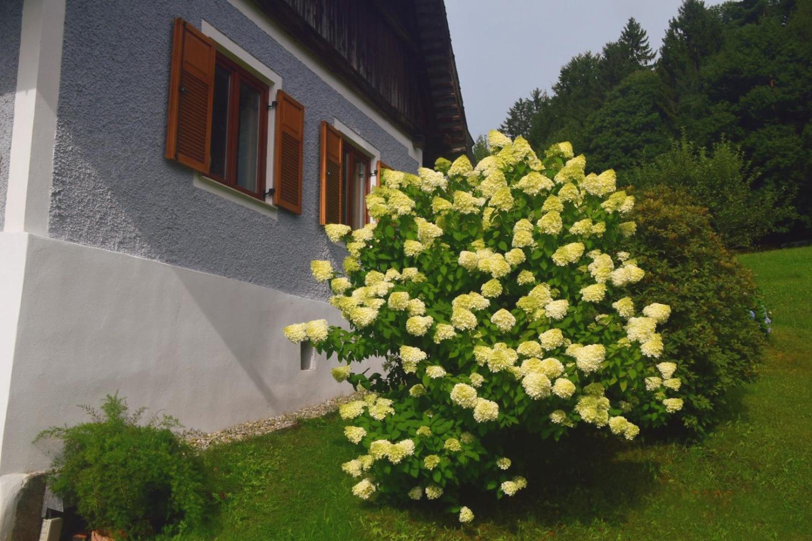 Ferienhaus Masser