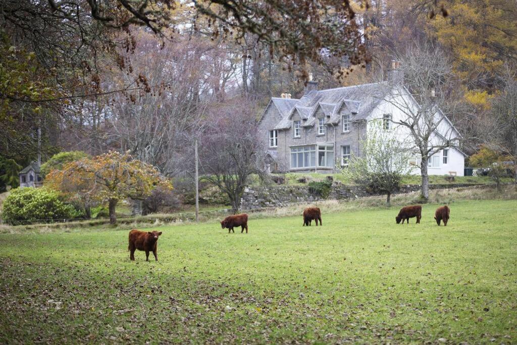 Traditional Highland lodge restored in the spirit of rural living, set in a wild landscape - NATURE ADVENTURE NURTURE
