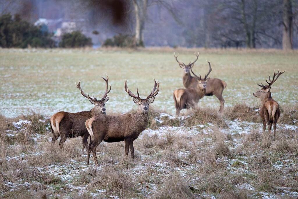Traditional Highland lodge restored in the spirit of rural living, set in a wild landscape - NATURE ADVENTURE NURTURE