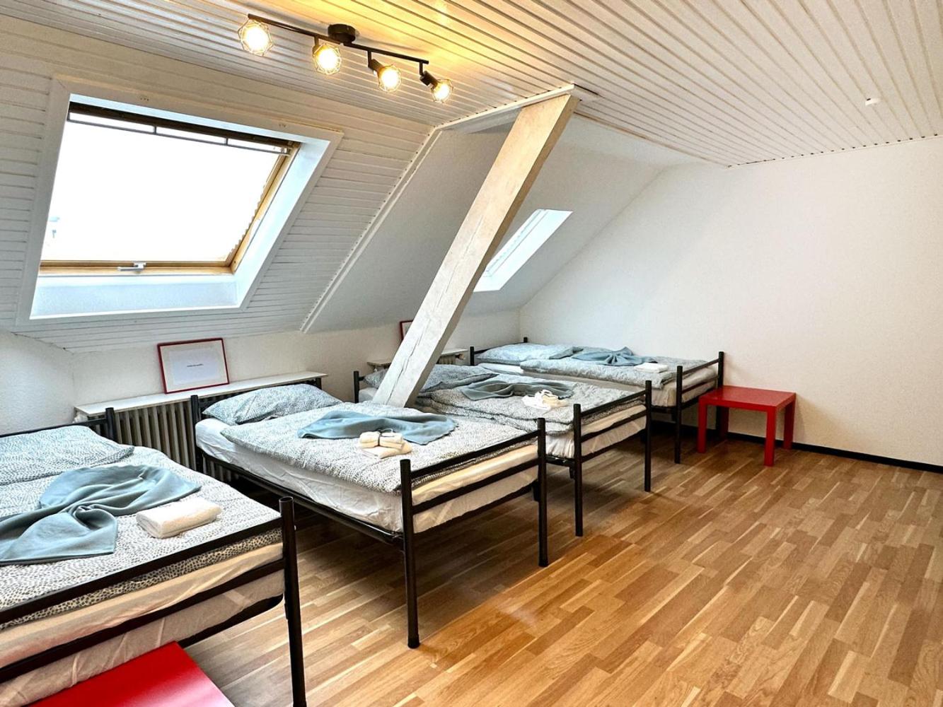 Spacious & Cozy Apartments