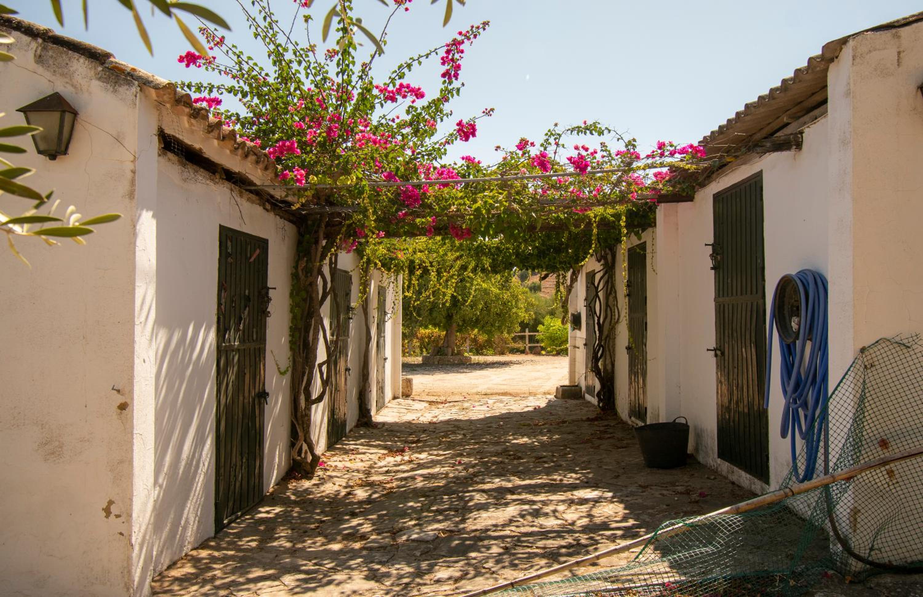 Casa rural el Carmen