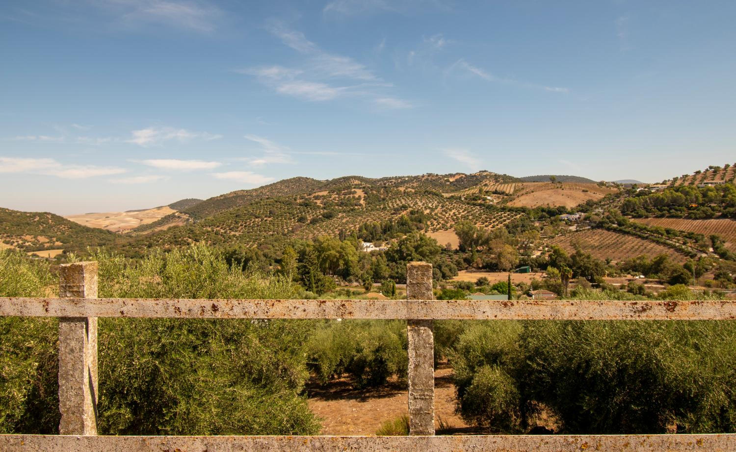 Casa rural el Carmen
