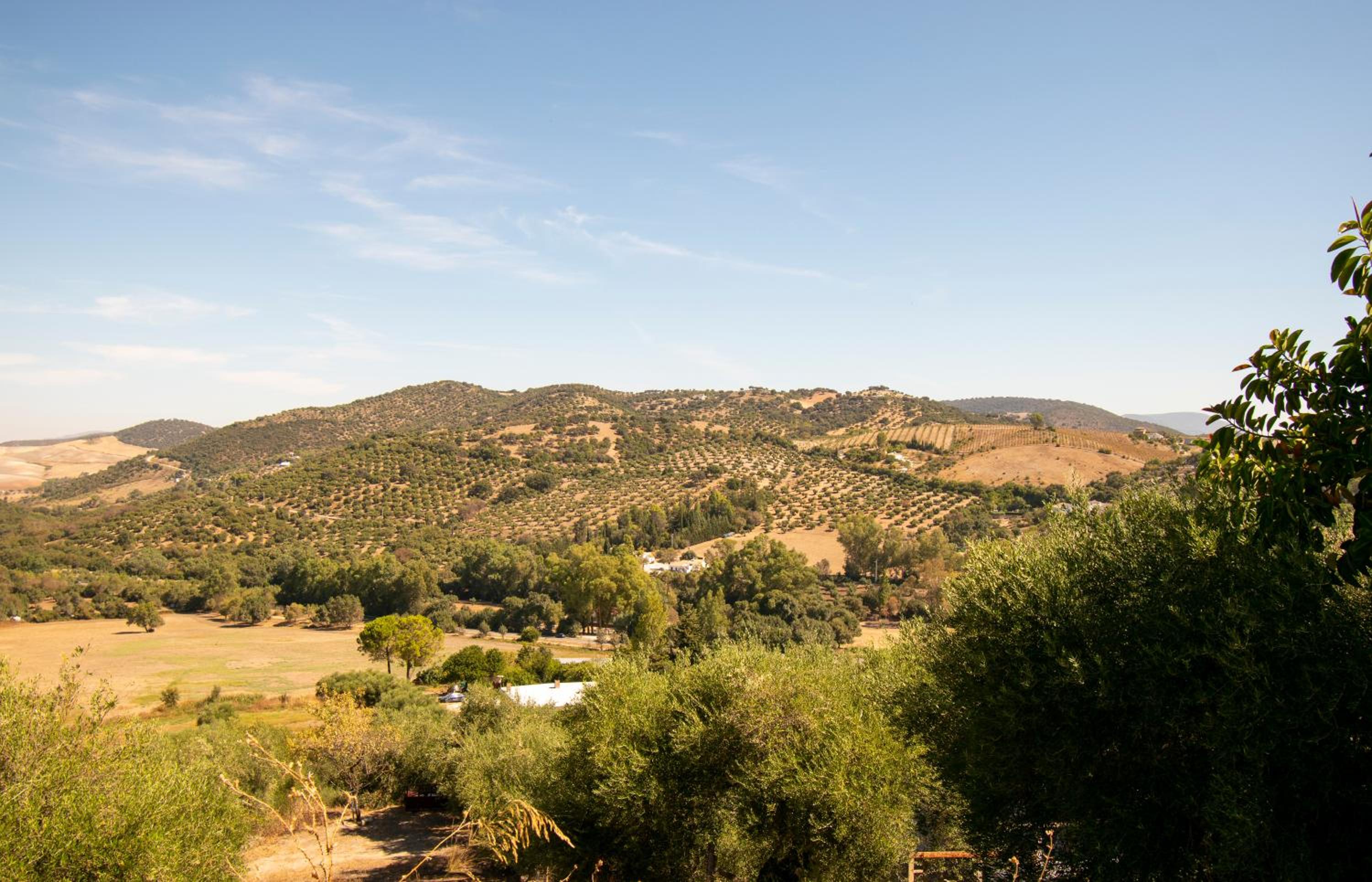 Casa rural el Carmen