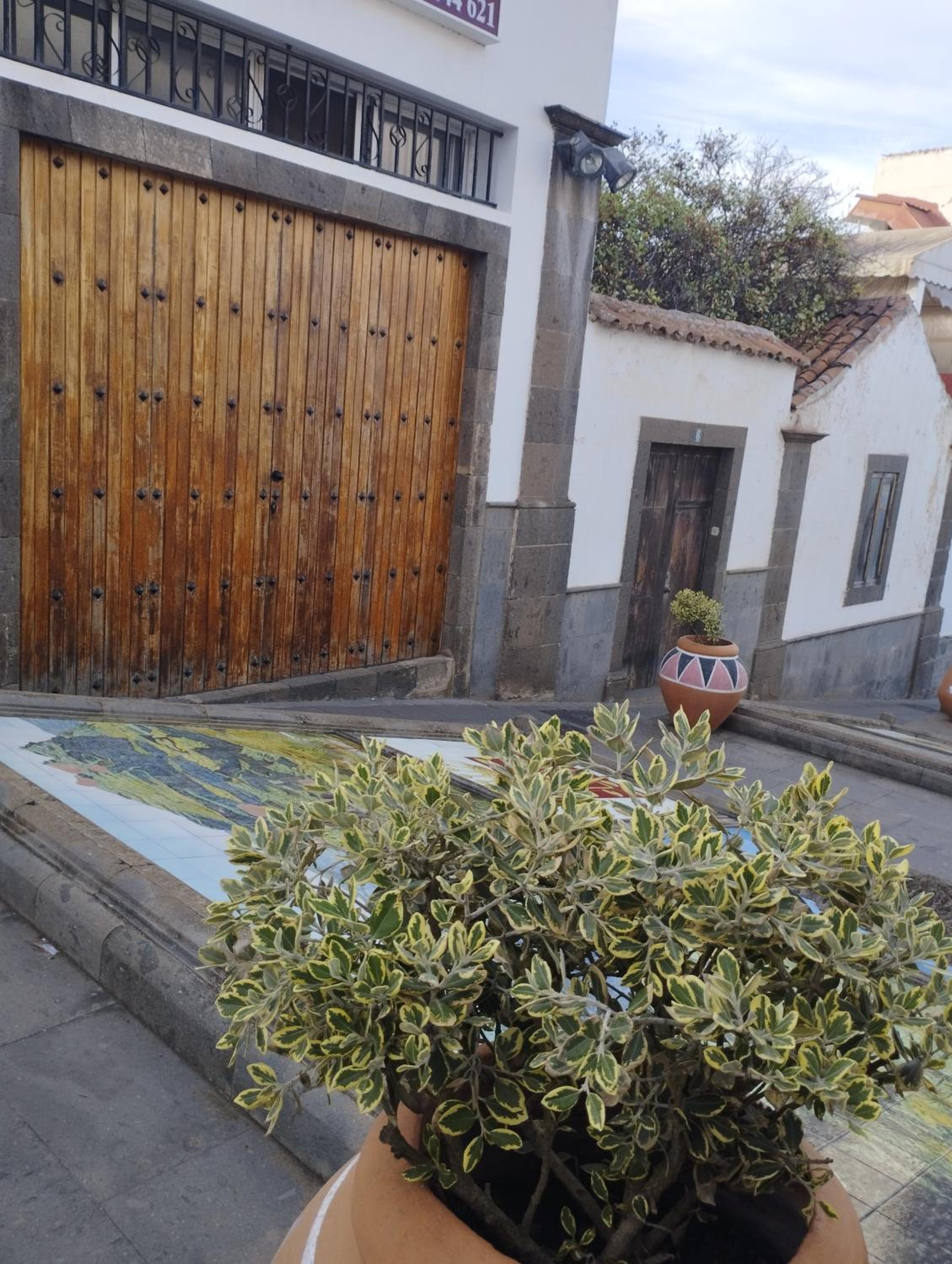 Acoran Family Guests House Firgas with Included Morning Yoga Practice ,there are pets in the house