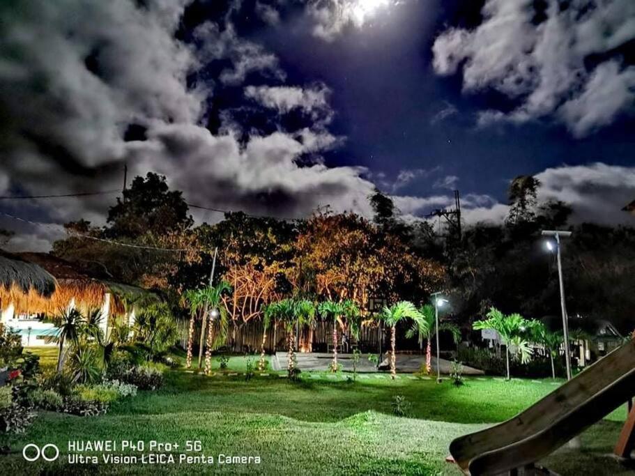 Photo 44