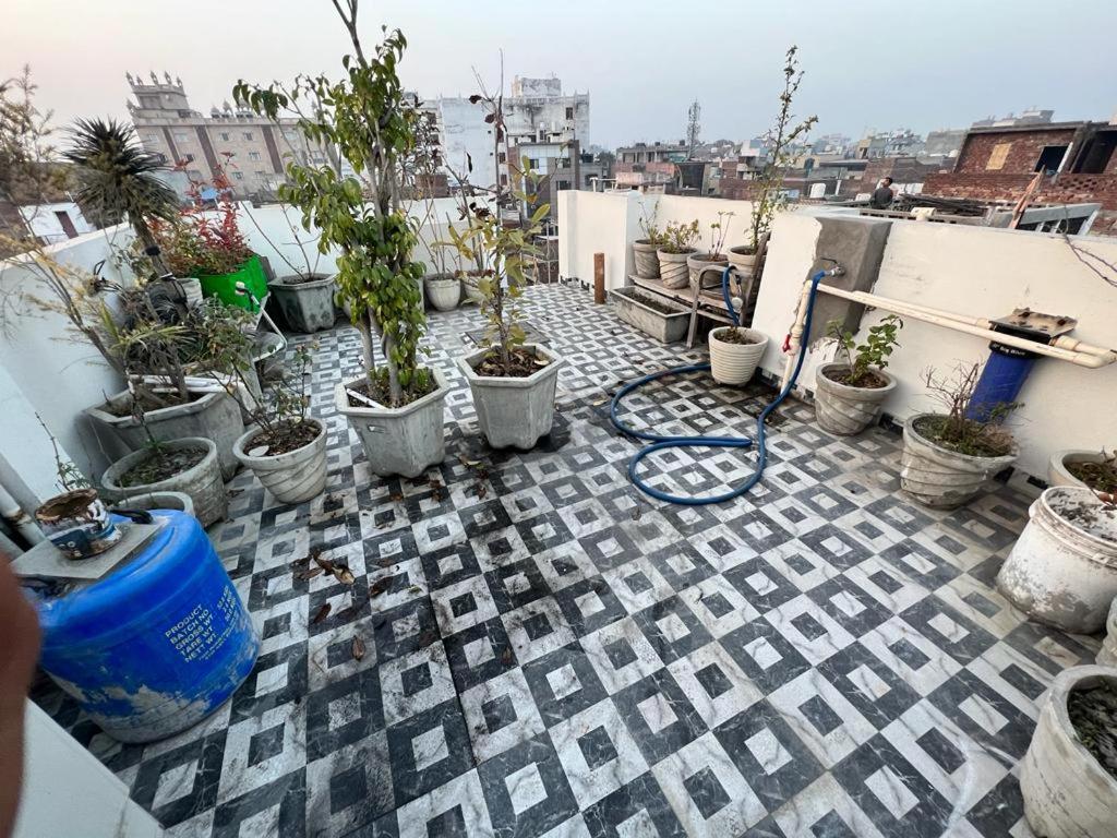 roof