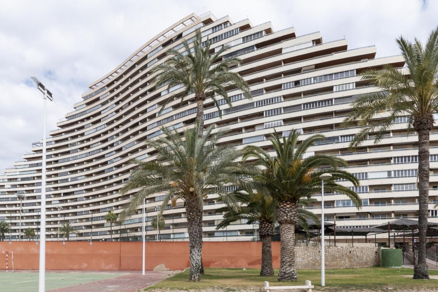 Florazar 2, Iv-14-C photo 2