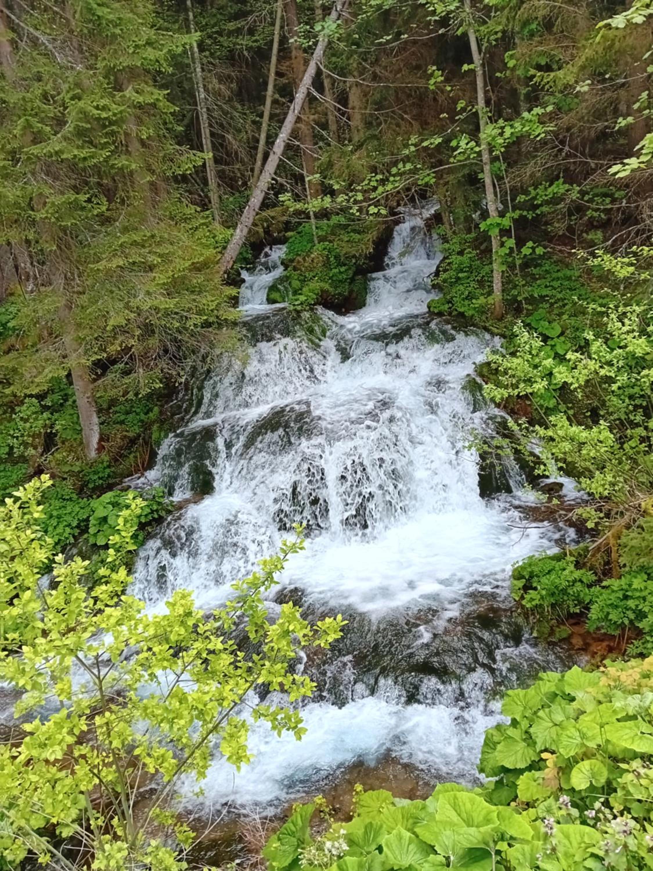 Apartmani Kamini RAVNA PLANINA