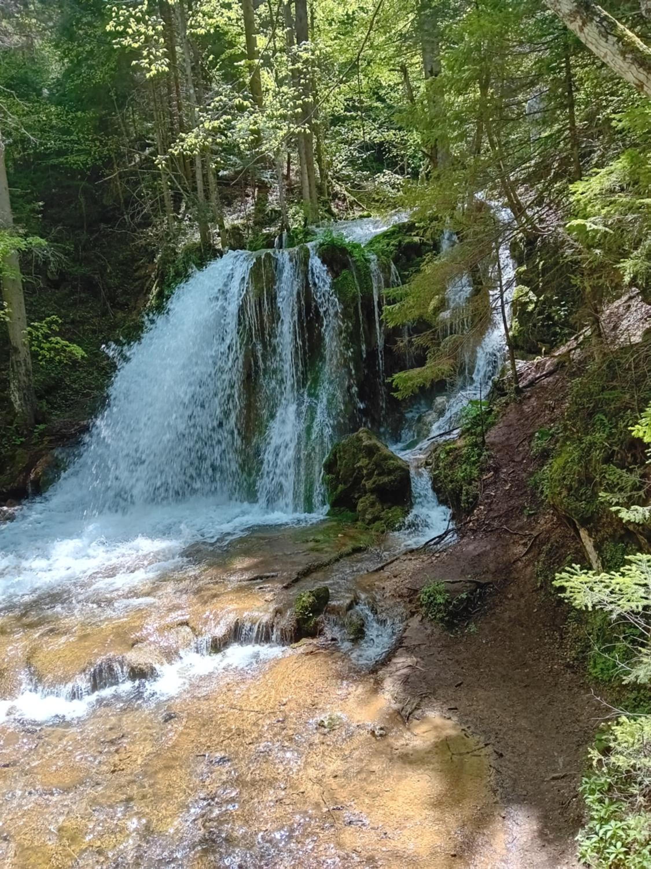 Apartmani Kamini RAVNA PLANINA