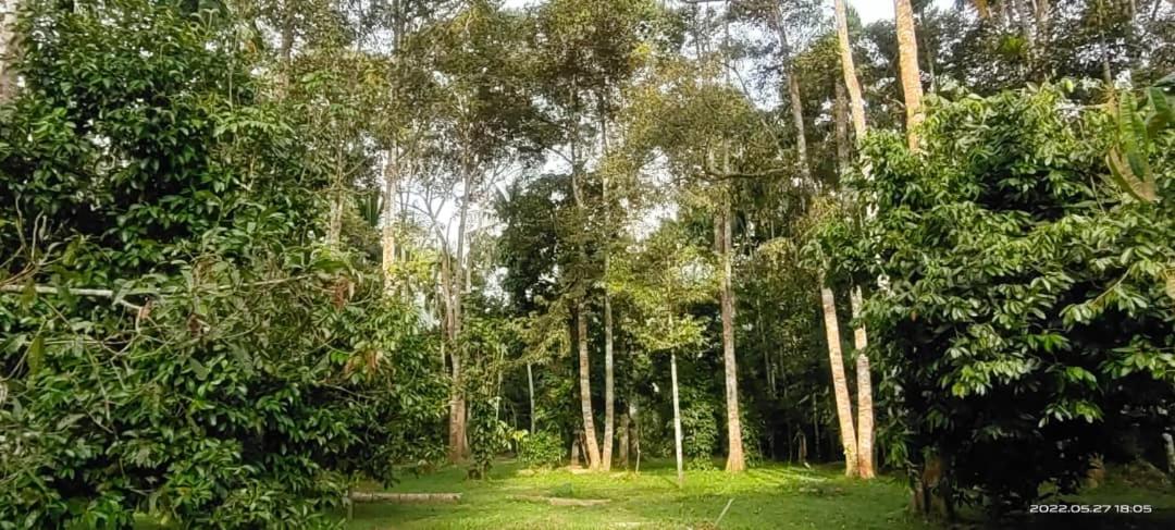 SRI MALAU photo 4