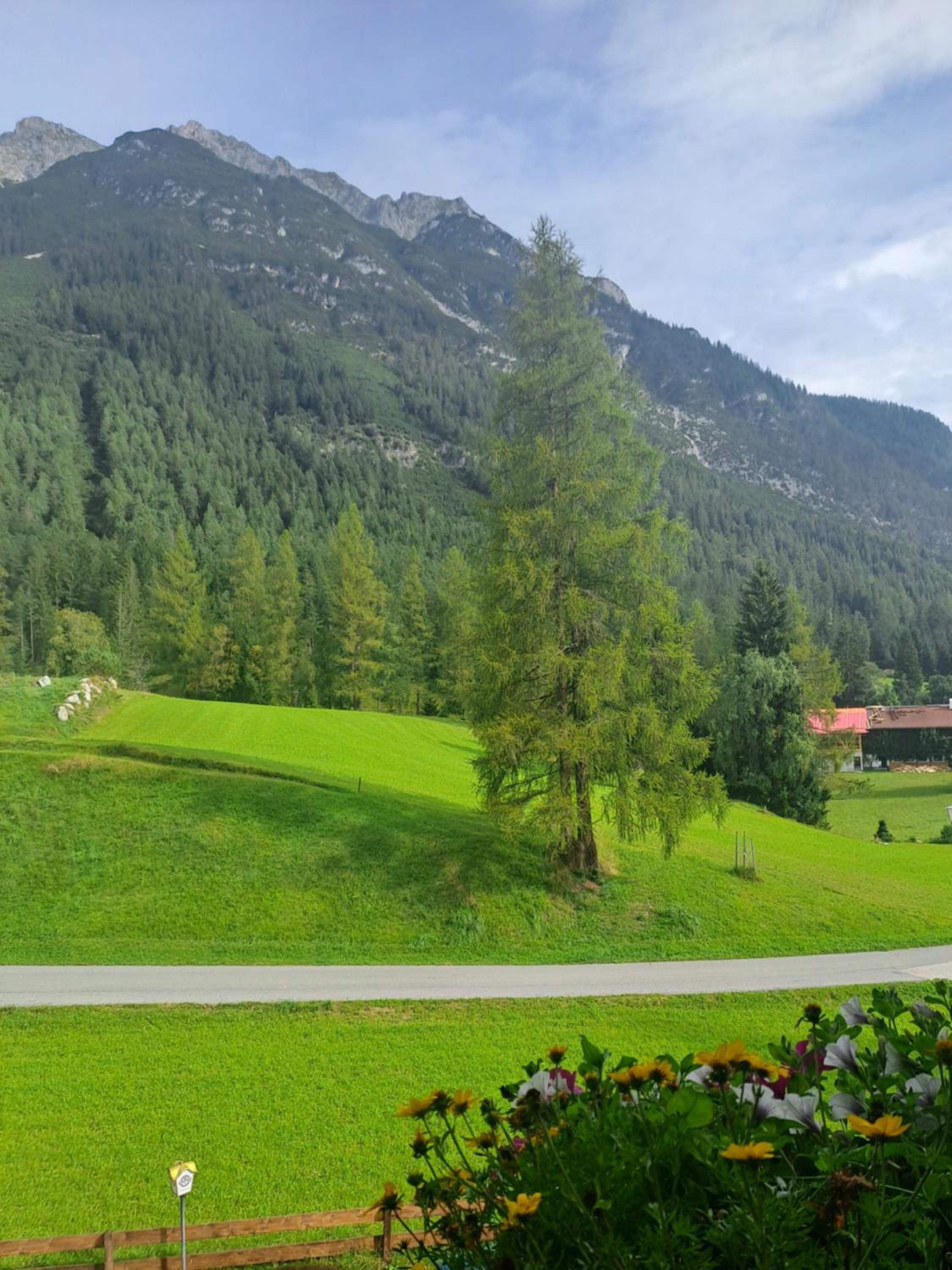 Landgasthaus Appartement Birkegg