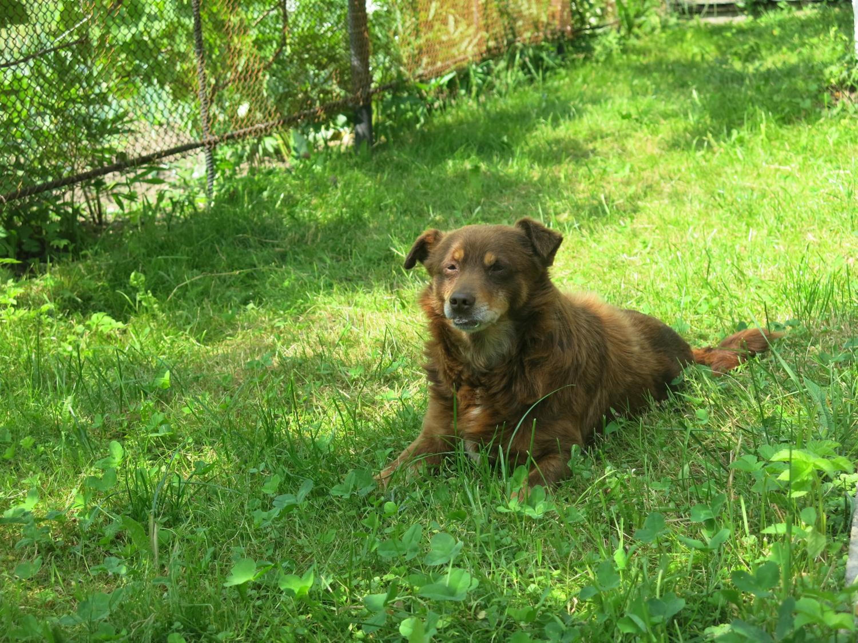 Photo 27