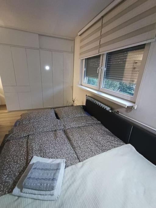 Urban Charm Suite