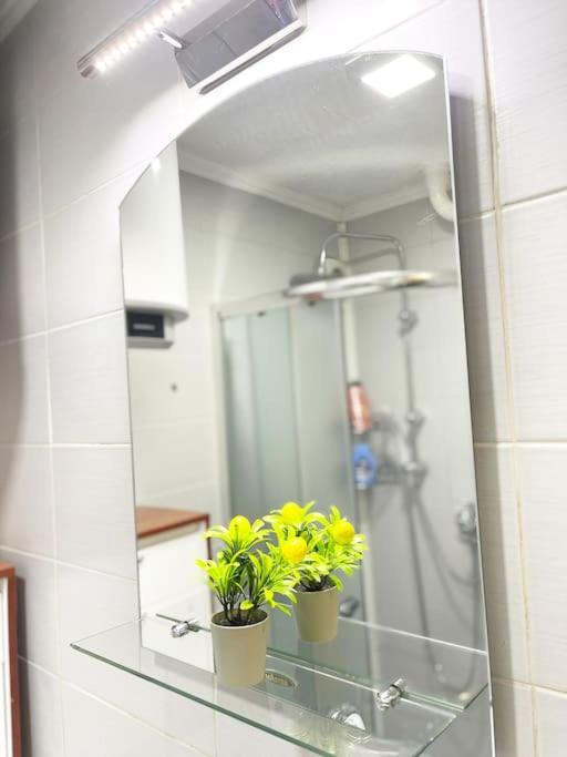 Urban Charm Suite