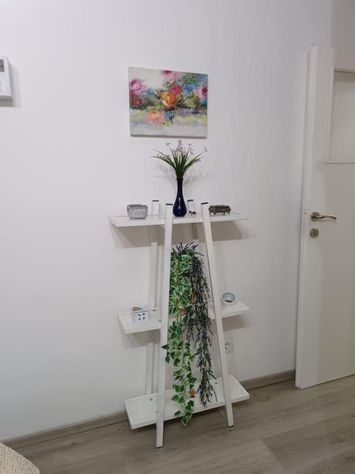 Urban Charm Suite