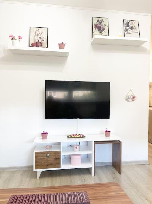 Urban Charm Suite