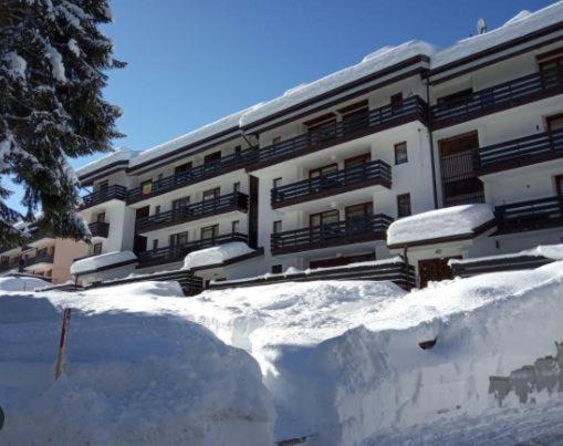 La Finestra sul Brenta con POSTO AUTO PRIVATO AL CENTRO di MAD di Campiglio CIPAT O22233-AT-O13262 view 3