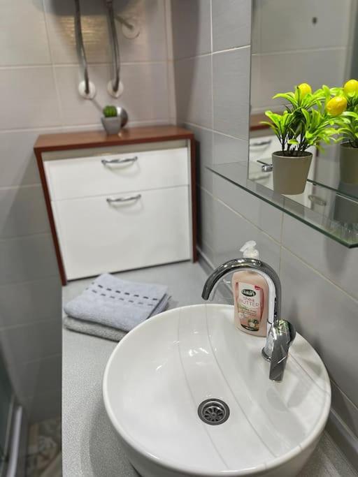 Urban Charm Suite