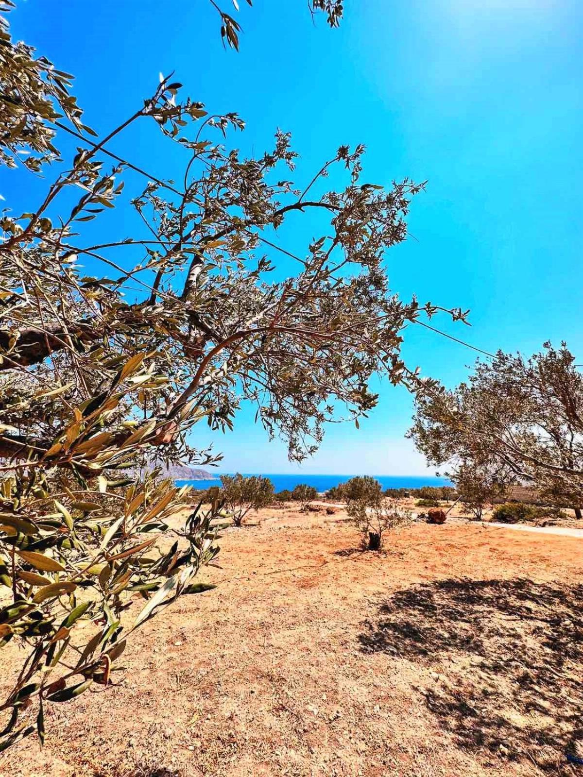 Amοopi Beach Country House