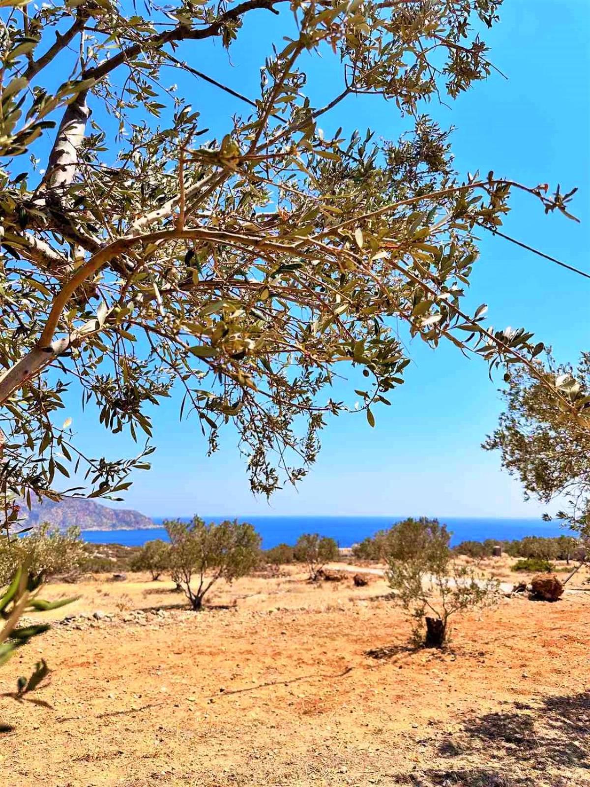 Amοopi Beach Country House