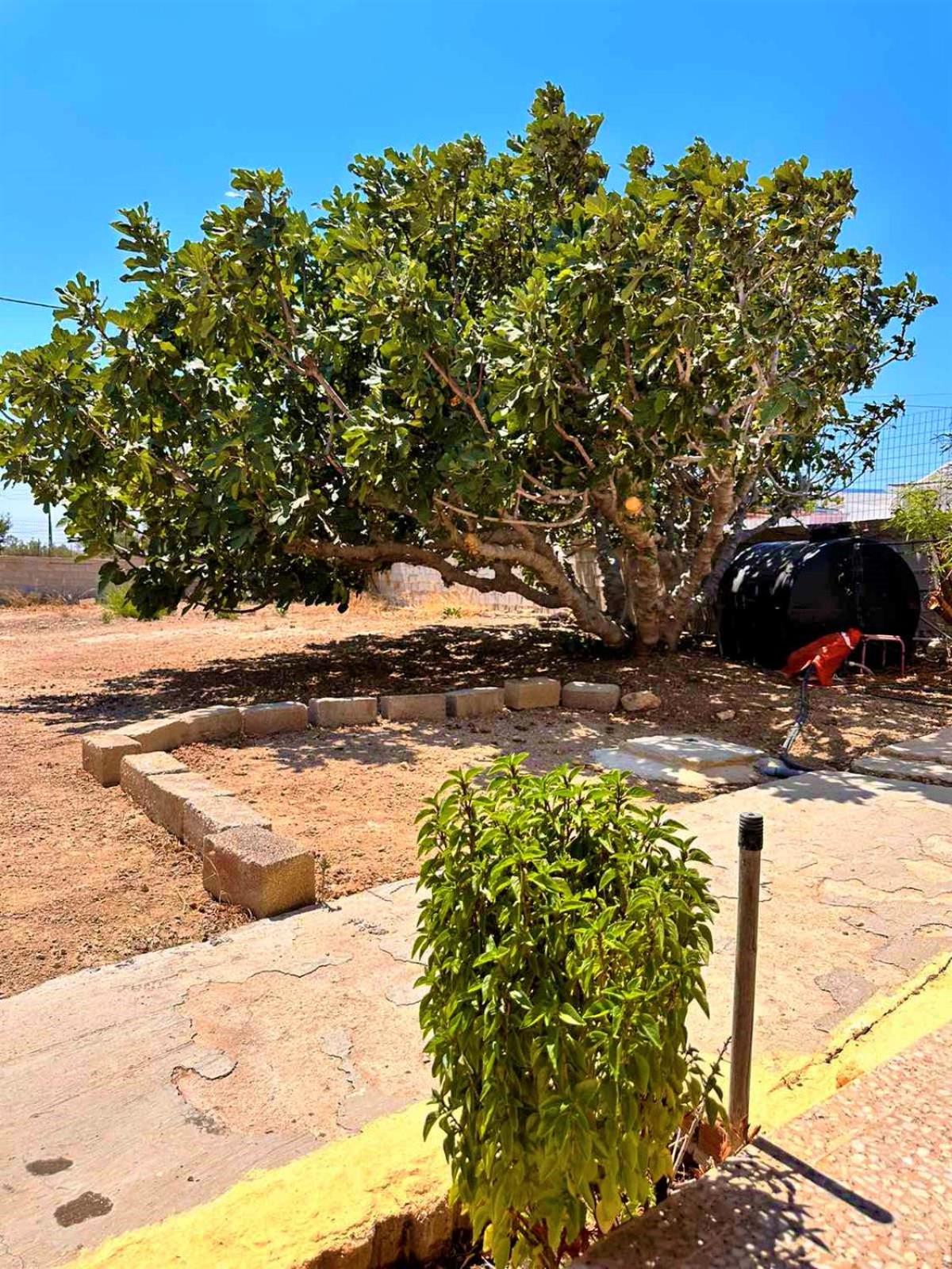 Amοopi Beach Country House