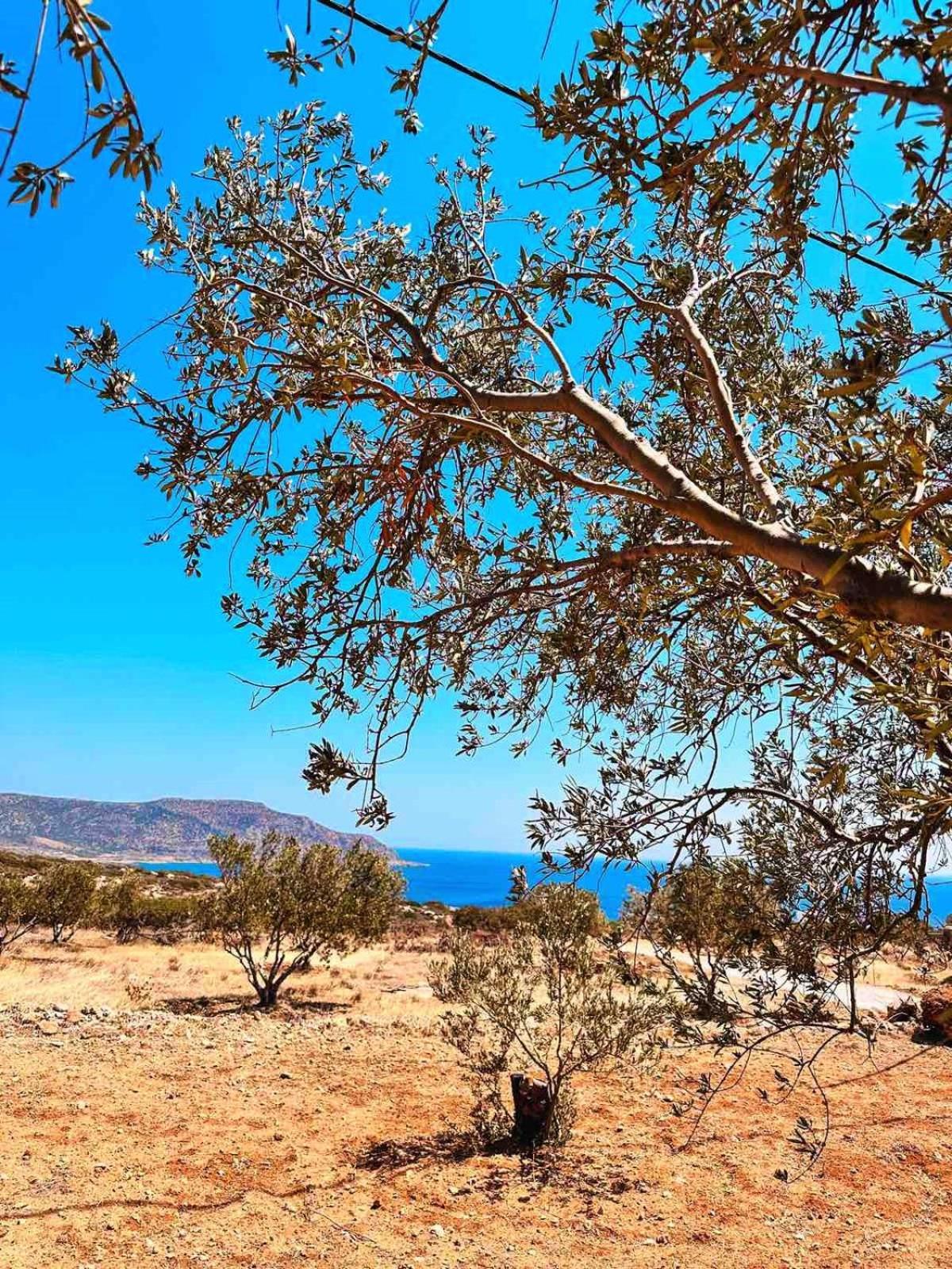 Amοopi Beach Country House