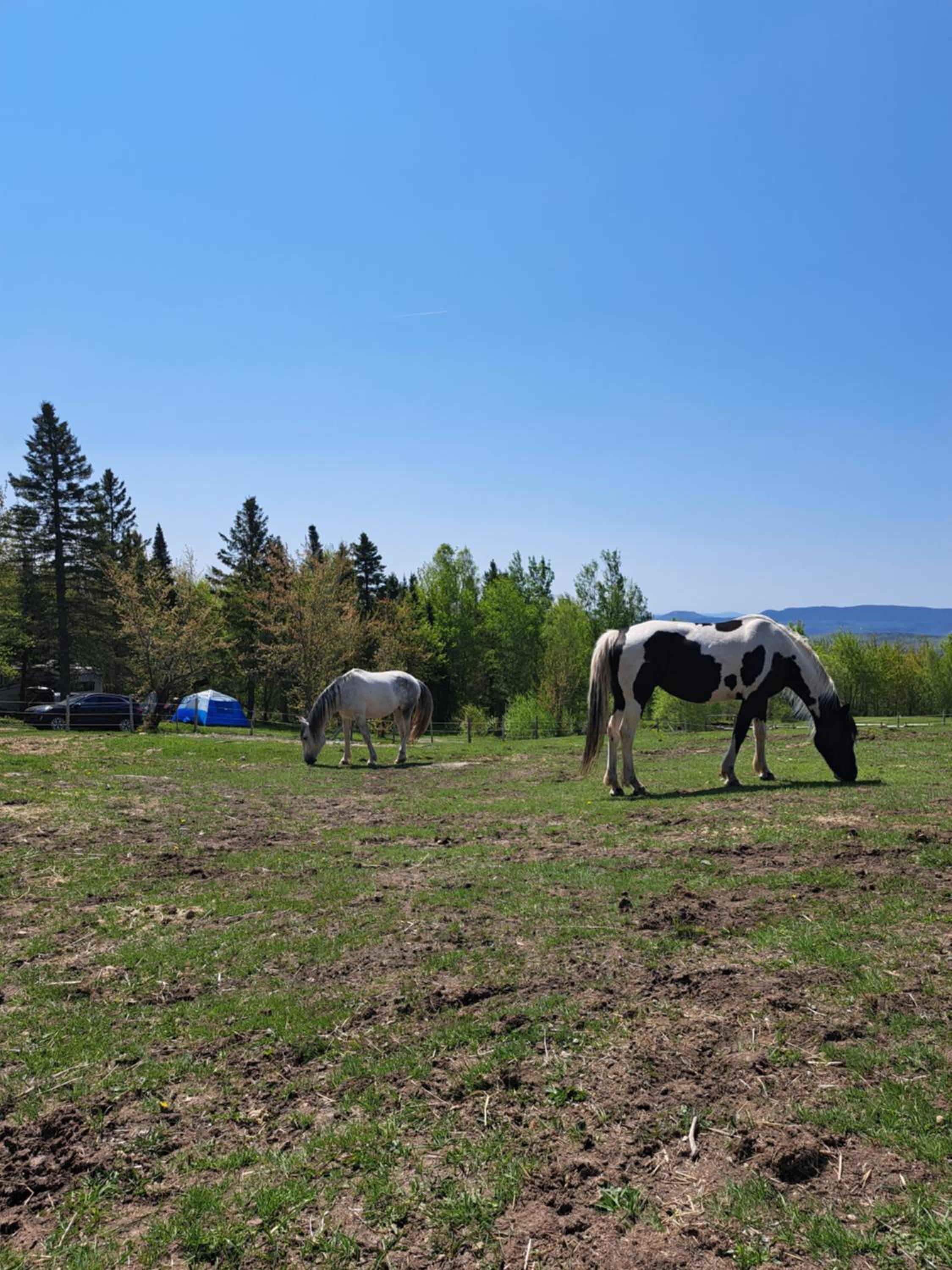 Ranch vdv