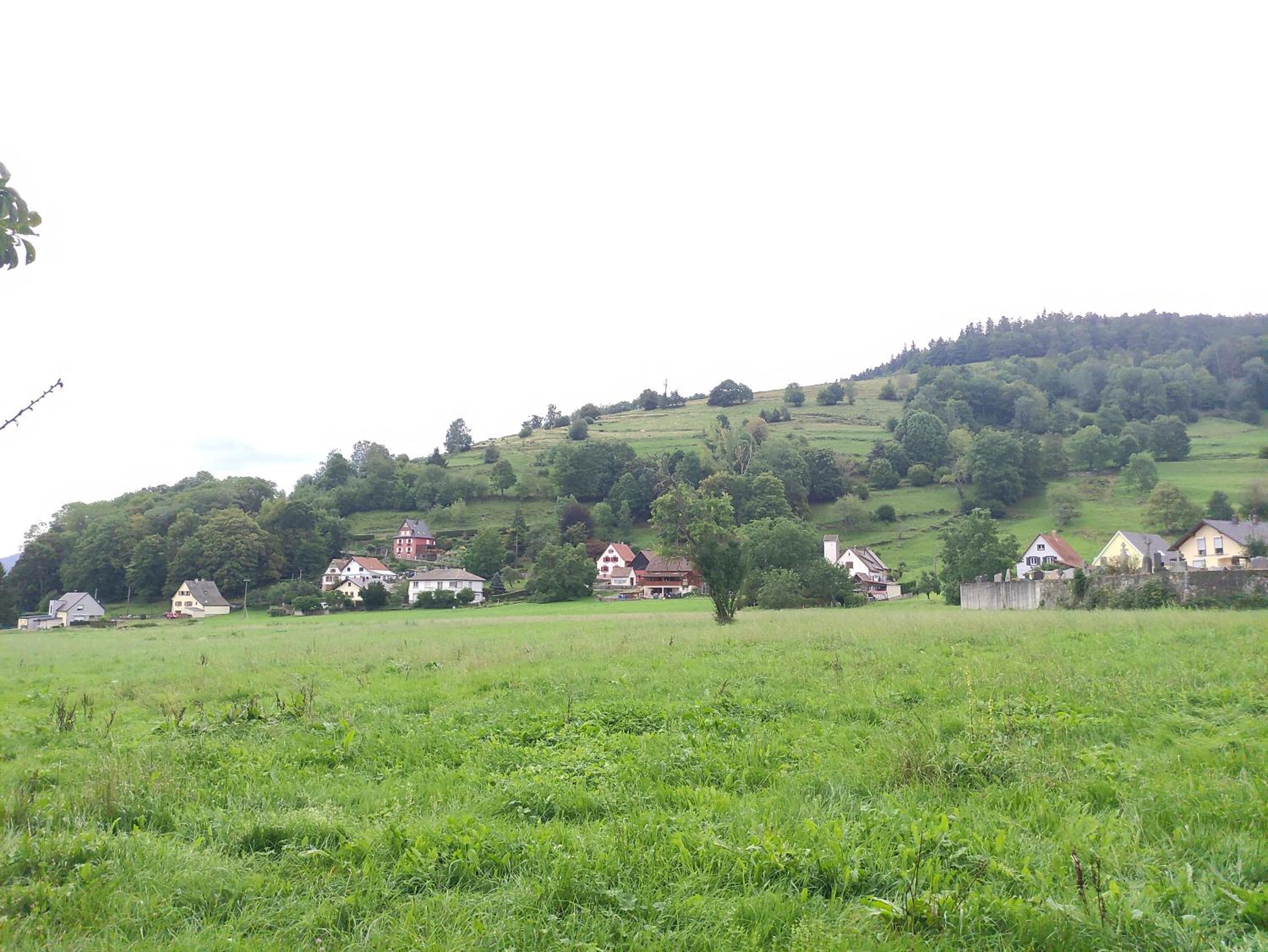 Les studios du frankenthal view 5