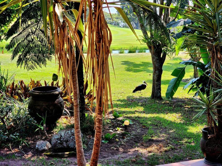 Villa A13 - Selborne Golf Estate view 5