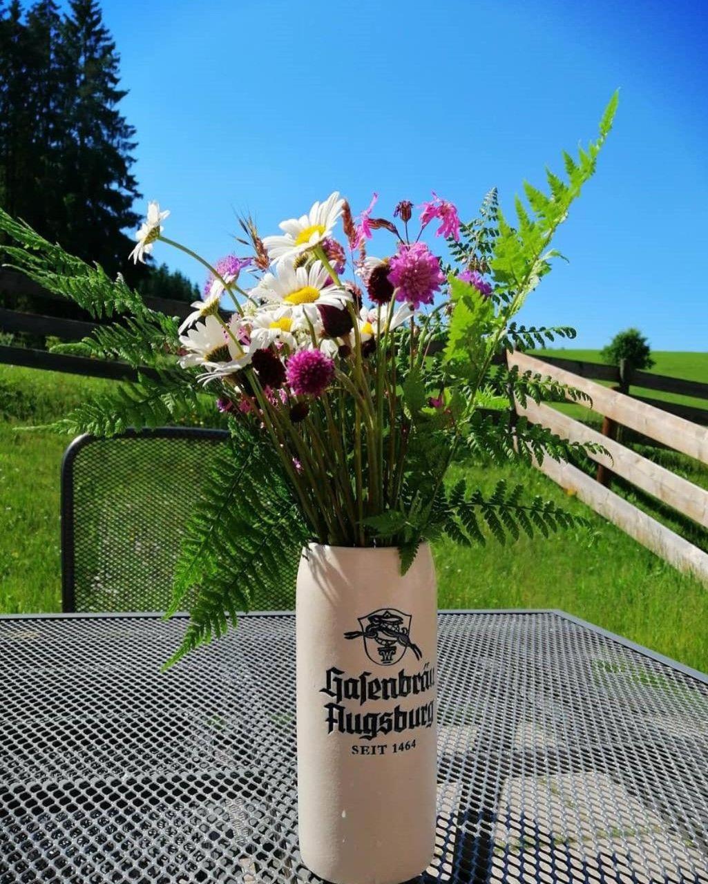Meister-s-Ferienhaus-Tiere-herzlich-willkommen-Koenigswinkel