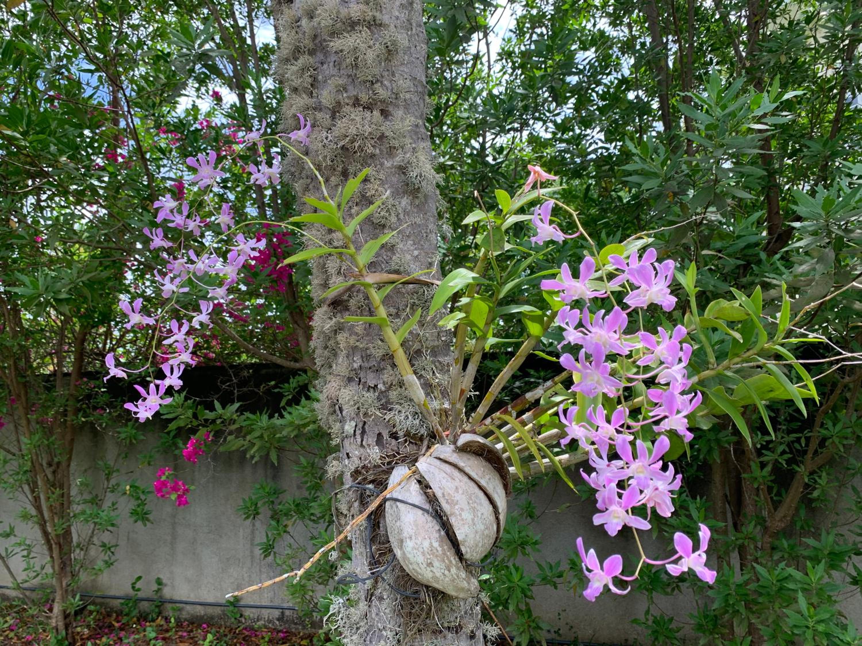 Stuart House Tangalle