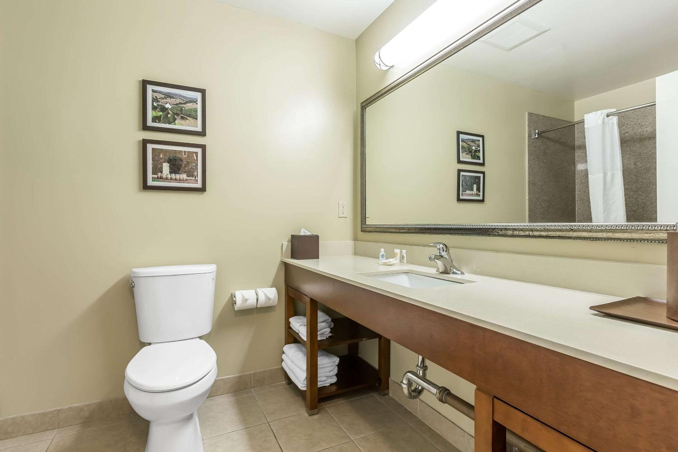 Pomona Vacations - Comfort Inn Pomona near Fairplex - Property Image 38