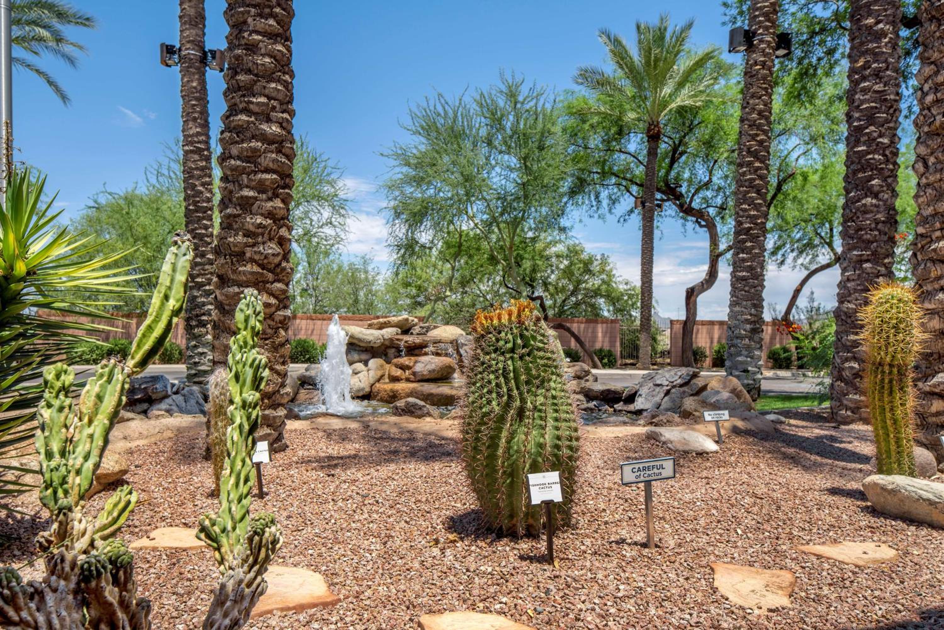 Hilton Vacation Club Scottsdale Villa Mirage, 사진 37