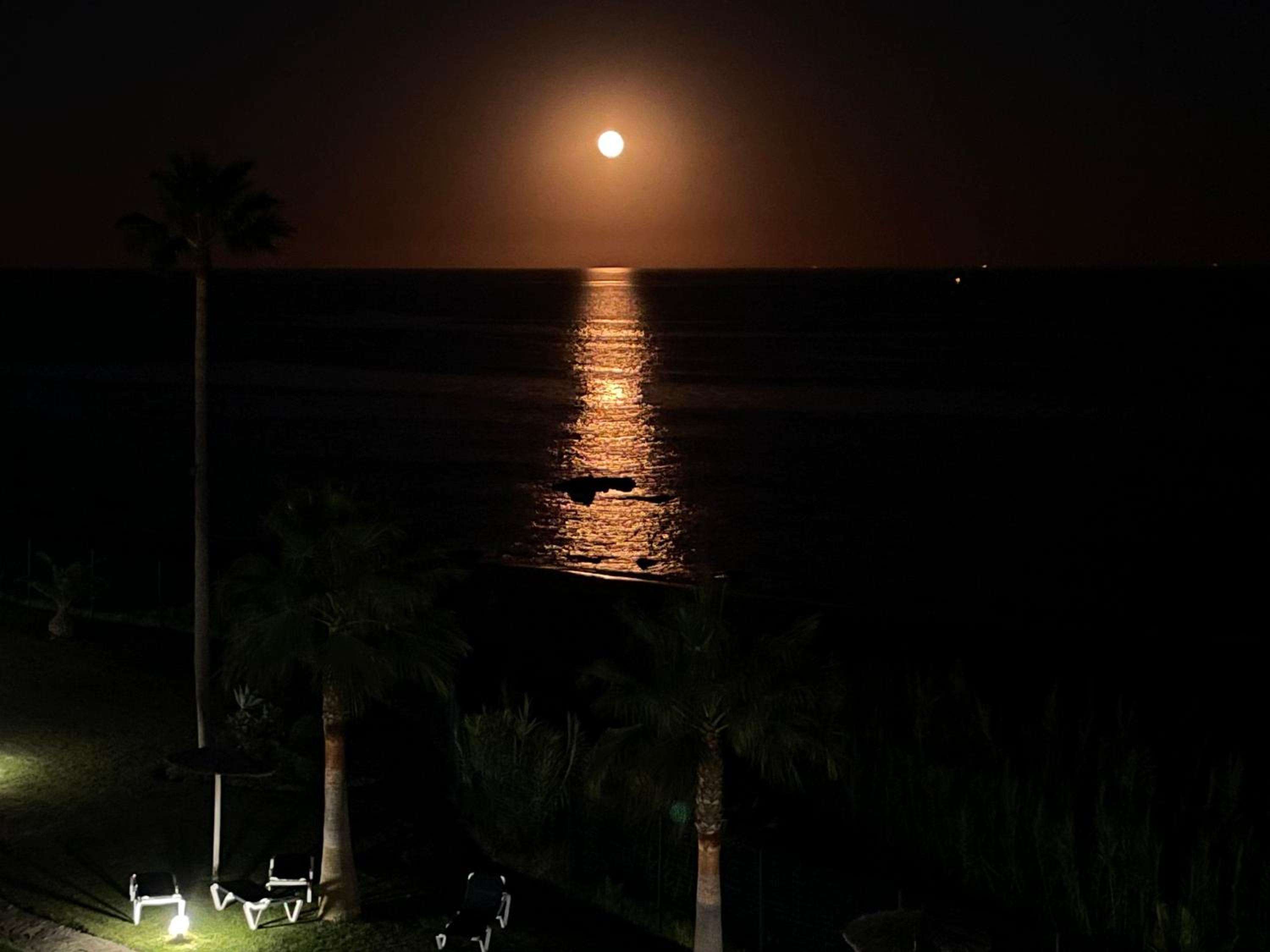 Exclusive luxury frontline beach penthouse Casares del mar - Estepona
